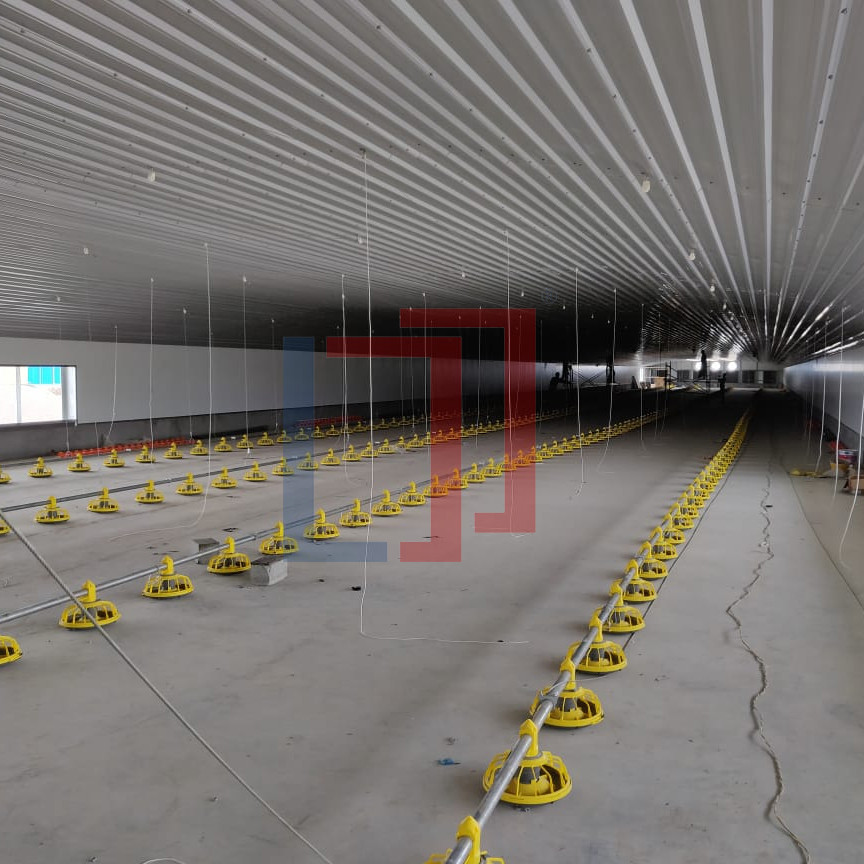 Prefab Automatic Steel Structure Chicken House / Chicken Coop Steel Frame House