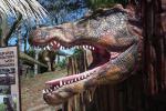 Jurassic Park Place Dinosaur Head Decoration Entertainment Equipment