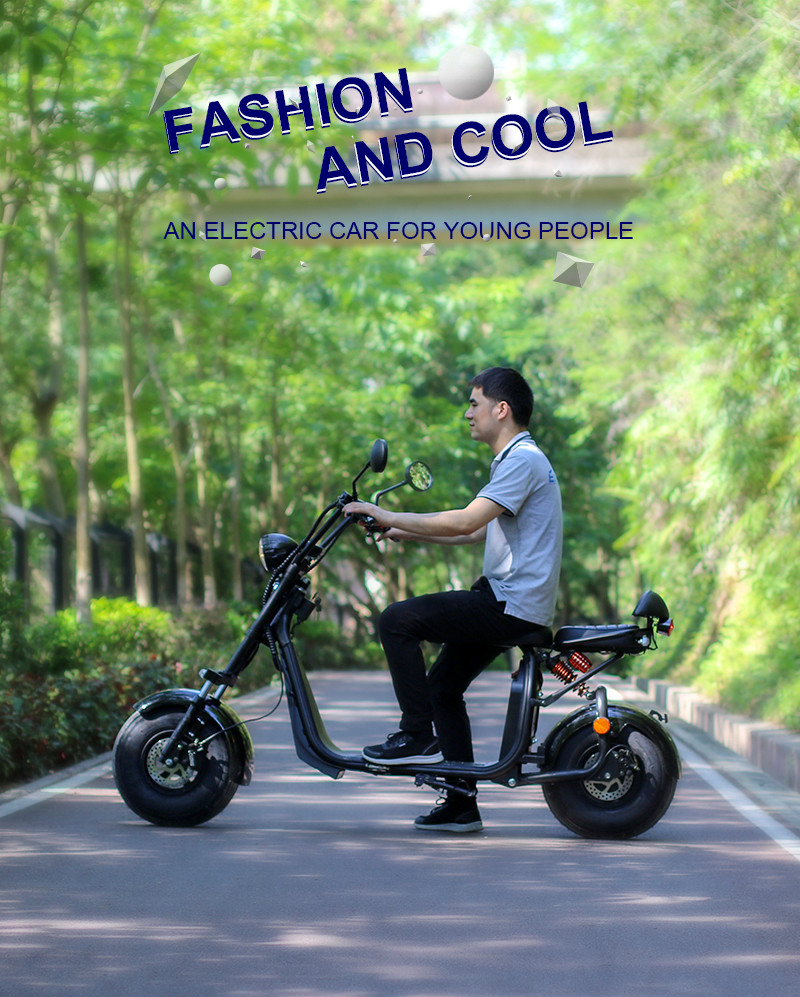 Ecorider 2 Wheel Electric Scooter 1500w EEC City Coco LED Turn Light With Fat Tire