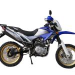 Bolivia Hot Sale FENIIX 250CC Dirt Bike ZS Engine 250cc 300cc Motocross Enduro