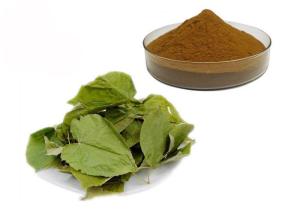 Quality CAS 489-32-7 Horny Goat Weed Epimedium Herbal Extract Powder wholesale