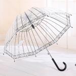 POE Rain Stick Birdcage Umbrella , Auto Open Clear See Thru Umbrellas