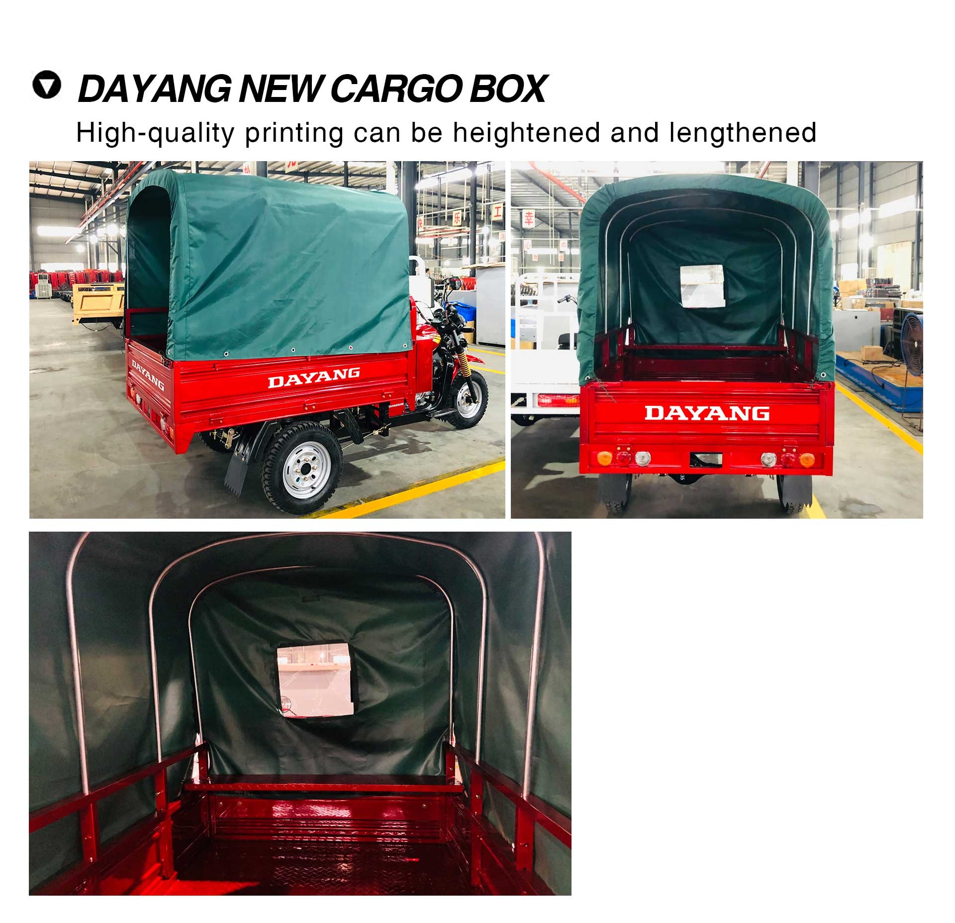 Cargo 250cc Powerful Durable Tricycle Petrol Tricycle with Cabin