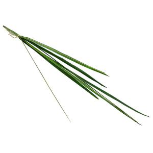 Quality Clear Veins Green Artificial Ornamental Plant Dwarf Lilyturf Branches wholesale