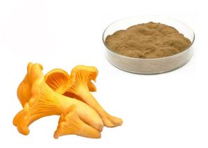 Quality 30% Polysaccharides Chantarelle Mushroom Extract Powder wholesale