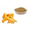 Buy cheap 30% Polysaccharides Chantarelle Mushroom Extract Powder from wholesalers
