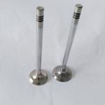 Engine Intake Exhaust Valve 4D0 Race Forged Engine Valves 30604-00100 30604