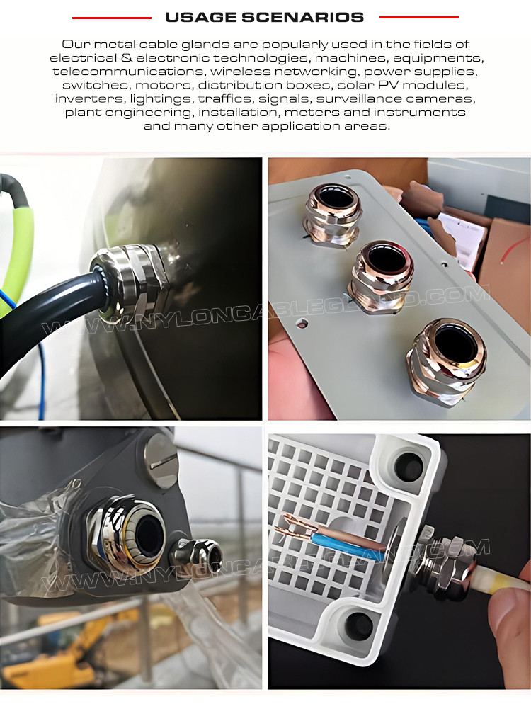 304, 316, 316L Stainless Steel PG Cable Glands IP68 Watertight Metal Compression Glands with Fluoroelastomer Seals