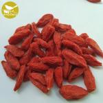 Certificated Organic Dried Goji Berries Dried Super Grade Organic Goji Wolfberry
