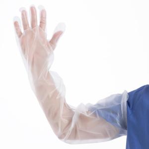 Quality Plastic Disposable Protective Gloves PE Long Sleeve White wholesale