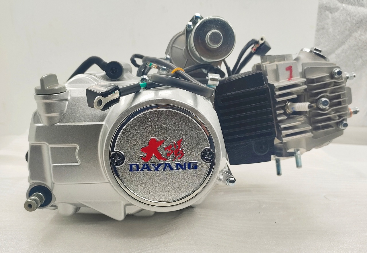 Complete Motorcycle Nature 110CC Engine Cylinder Style A Class Origin Ignition CCC
