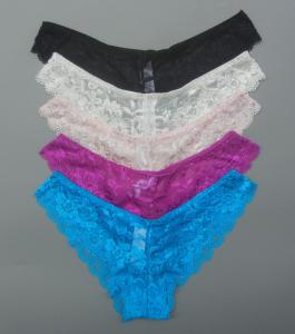 Quality sexy sheer lace panties with plus size wholesale