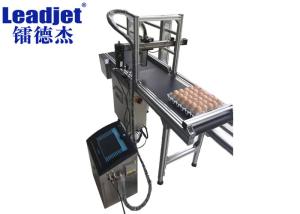 Quality Leadjet Belt Conveyor Machine 220V 120W 201 Stainless Steel Material wholesale