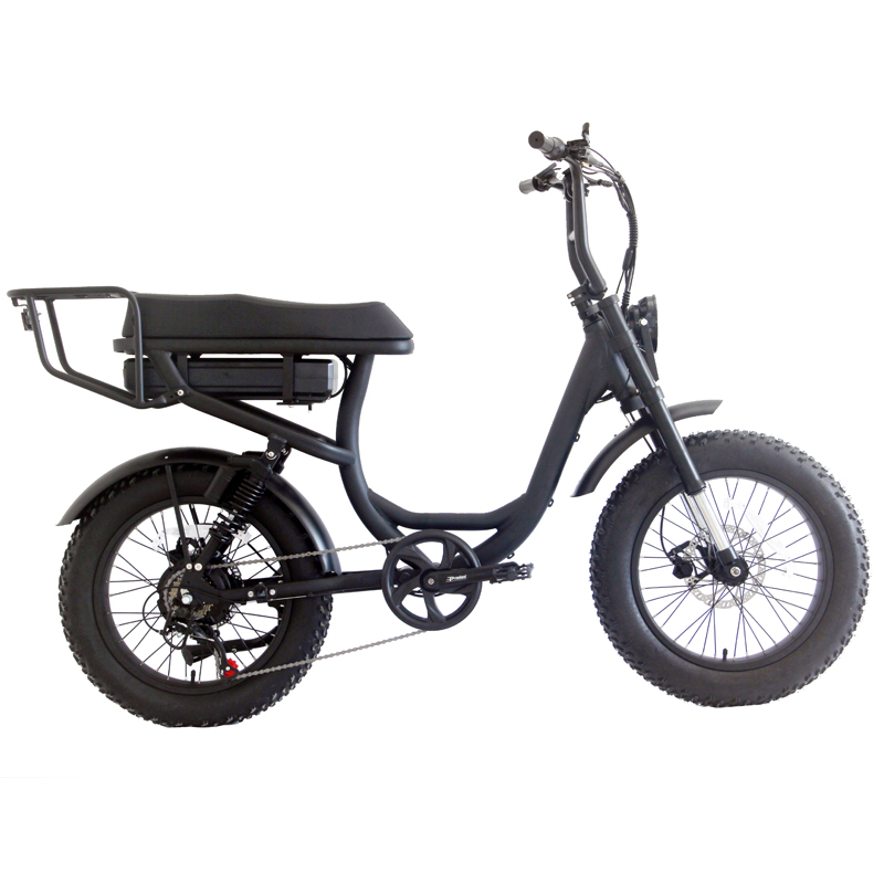 Electric Bicycle 48v 20 Inch Adult E Bike Customized Aluminum Alloy Frame 2022 Mountain