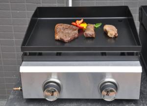 Quality 430 Stainless Steel Outdoor Grill , 220V 2 Burner Gas Grill wholesale