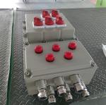 ATEX CNEX Certified Flameproof Control Panel For Painting Plant Marine EPC