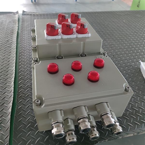 ATEX CNEX Certified Flameproof Control Panel For Painting Plant Marine EPC