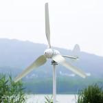 Hybrid Horizontal Residential Wind Generator 48v Wind Turbine