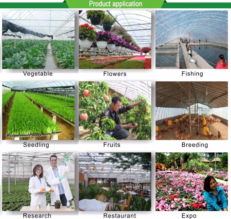 Used Container Tomato Greenhouse PE Material Optional Ventilation System