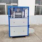 25mm Chlorine Tablet Press Machine For Swimming Pool Water Treatment