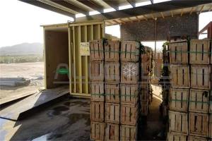 Quality Vegetables Vacuum Cooling Machine Fresh Produce Industry For Champignon / Broccoli wholesale