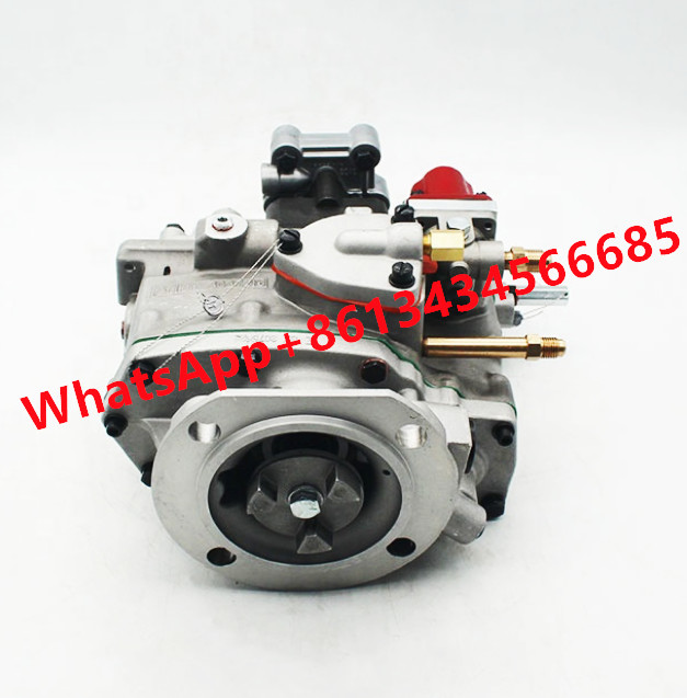 Fuel System Parts For Cummins KTTA19-C NTA855-M PT Fuel Pump E785 4076956