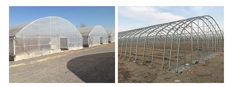 3m High Agricultural Poly Tunnel Greenhouse Transparent Colour Customizable Height