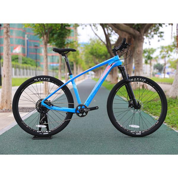 29 Inch MTB Carbon Fibre Mountain Bike With YBN S12S Chain And 160mm Brake Disc