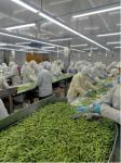 HALAL Certified High Protein Frozen Edamame Beans