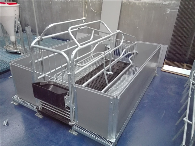 Pvc Board Steel Pig Pen , Sow Farrowing Crate With Flooring 2.2m*1.0m*0.6m Size