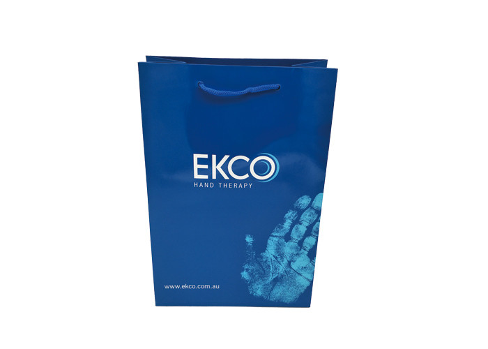 personalised Custom print glossy blue shopping paper bags with PP handle