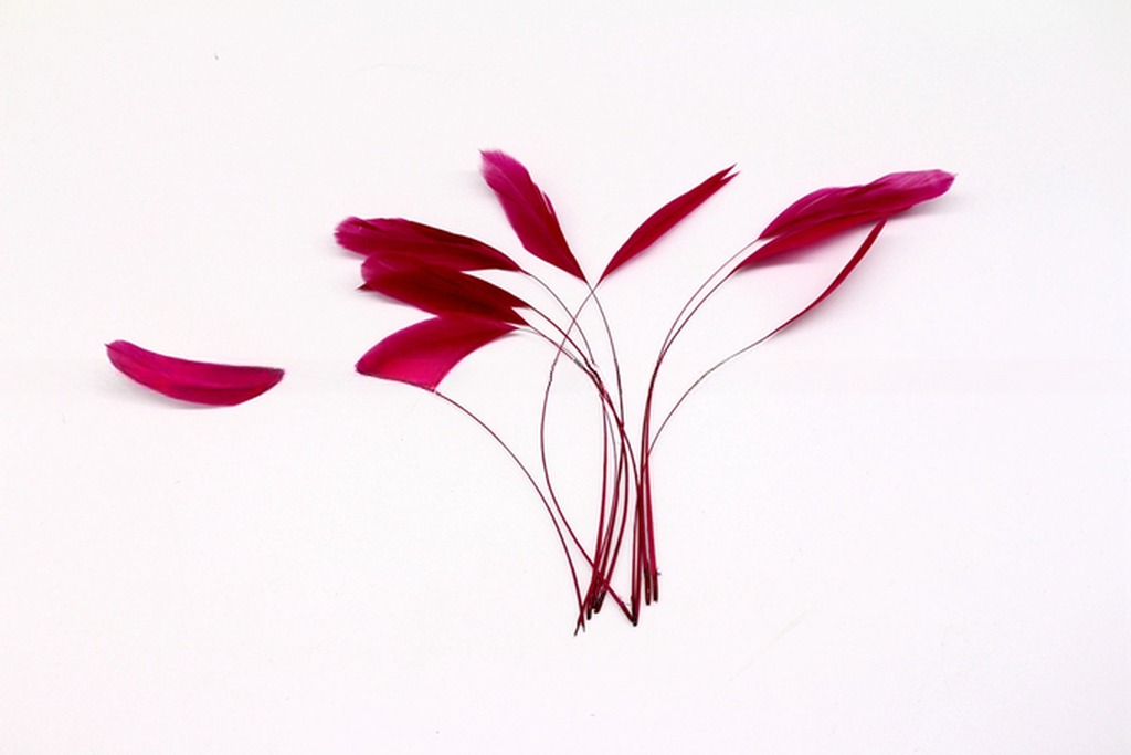 Stripped Rooster Coque Feather in Dyed Pattern for Chicken Feather Benefit