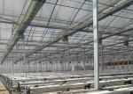Planting Vegetables Solar Photovoltaic System With Good Cooling System