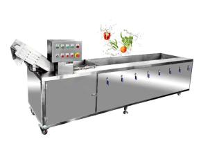 China Vegetable Fruit Bubble Washing Machine Fruit Vegetable Ozone Cleaning Machine For Restaurant on sale