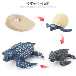 Quality Leatherback Life Cycle Figure Model Toy For Boys Girls Kids wholesale