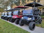 China Golf car 48V5KW fast speed 25mph strong power supply long mileage