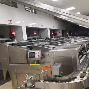 Quality ISO9001 Dry Noodle Making Machine 43T/24h Noodle Processing wholesale