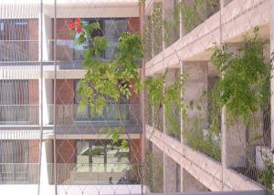 Quality Plant Climbing Green Wall Stainless Steel Cable Mesh 3.2mm wholesale