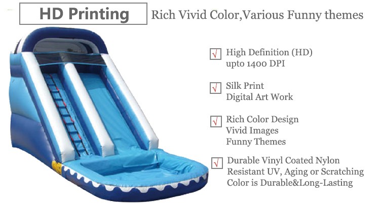Inflatable water slide (3)