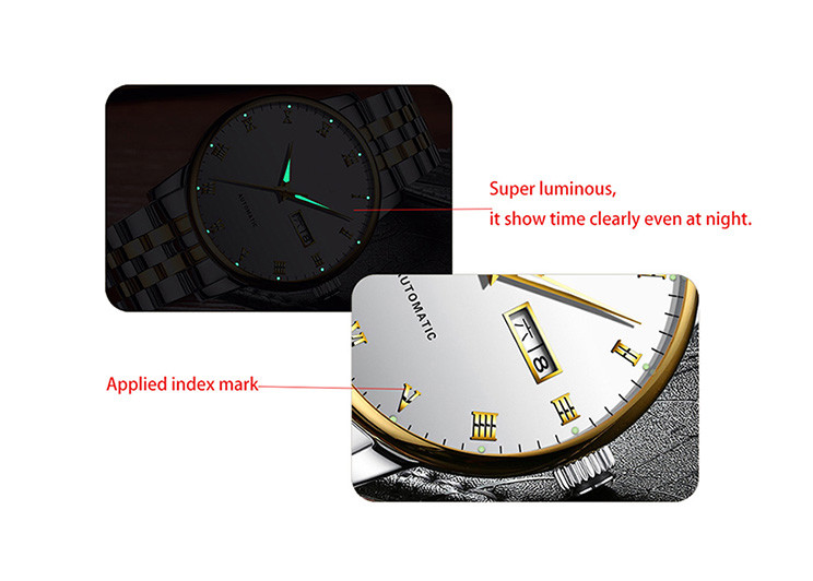 Collection Automatic Wrist Watch Japan Movt , Automatic Sapphire Watch 24mm Band Length