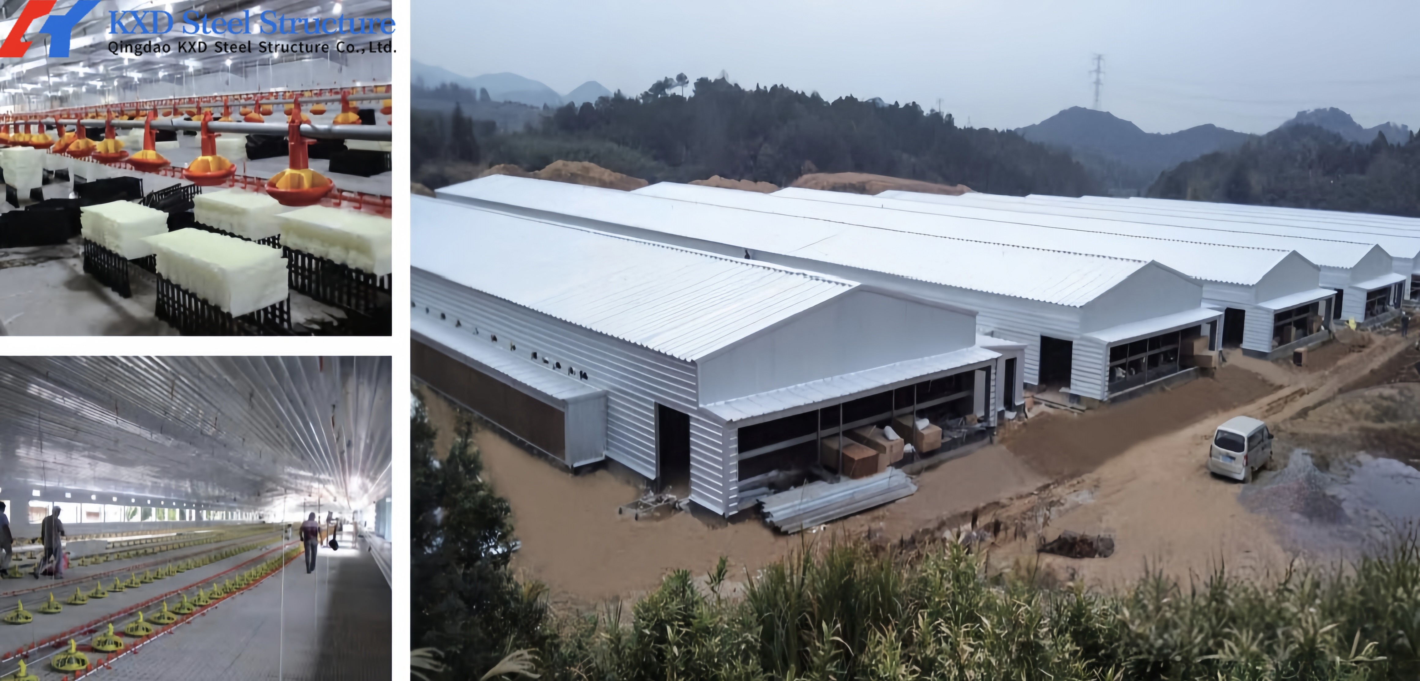 Poultry Farm Chicken Feeding Line Automatic Poultry Pan Feeding System