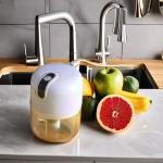 Kitchen Tool 2024 Mini Electric 250mL Garlic Ginger Masher for Sturdy Durable