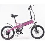 0.35kw Lightweight Electric Folding Bike 34KG Gross Weight 20 Inch