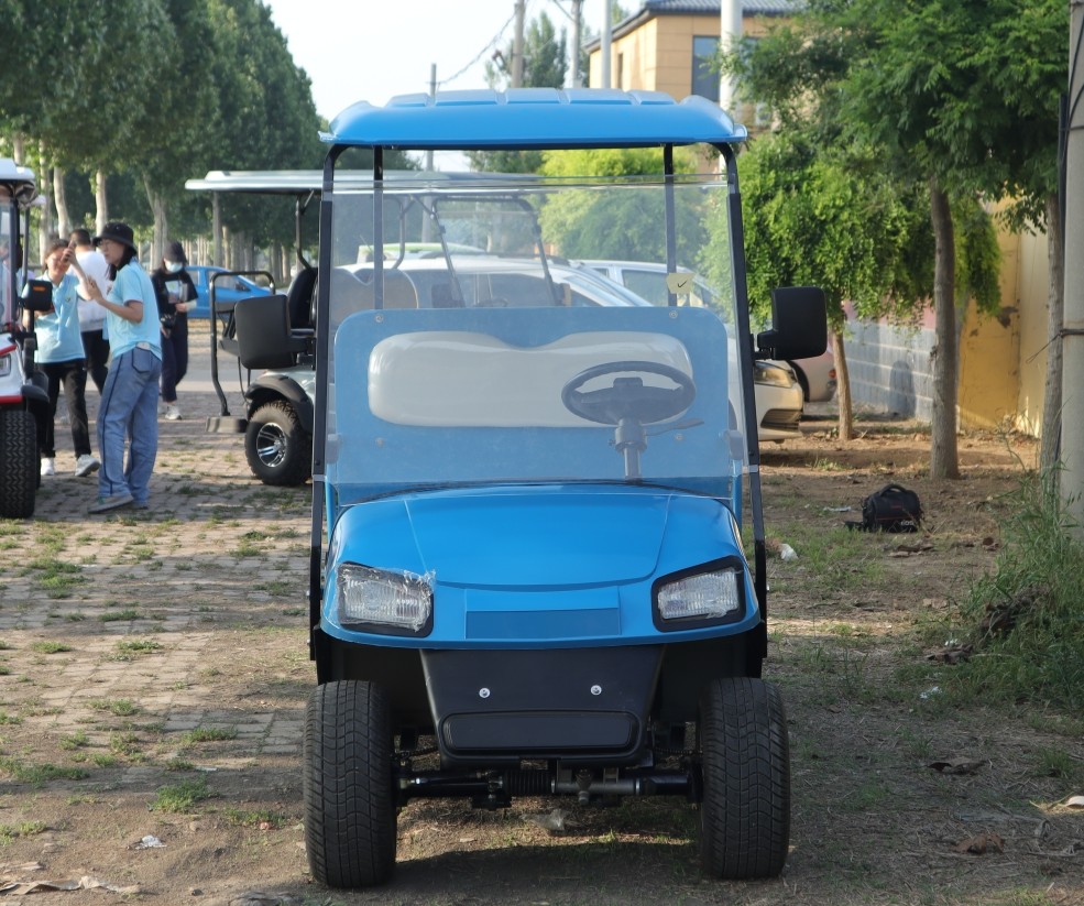 Blue Color 2 Seater Cargo Golf Cart Depot AC Motor 3.5kw Minimum Turning 5600mm