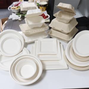 Quality Bagasse Sugarcane Food Container wholesale