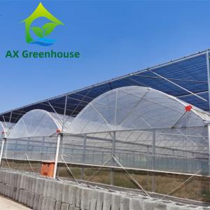 Quality Hot Galvanized Steel PE Film Greenhouse 44m-52m Length Plastic Tomato Greenhouse wholesale