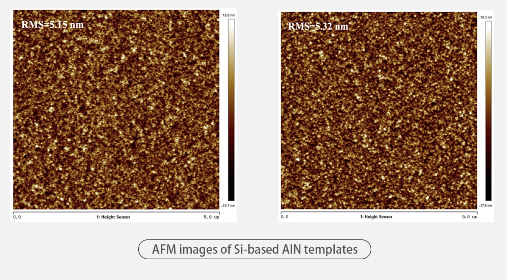 6" Silicon Based AlN Templates 500nm AlN Film On Silicon Substrate