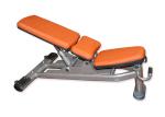Commercial Lifefitness Height Adjustable Dumbbell Bench Gym Strength Equipment