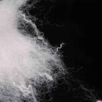 Hollow Hard Cotton Low Melting Fiber 15D 64mm Solid Staple Polyester Fibre