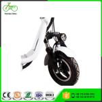 Citycoco Urban Electric Scooter 48V 8AH Lithium Battery 350W Pocket Electric